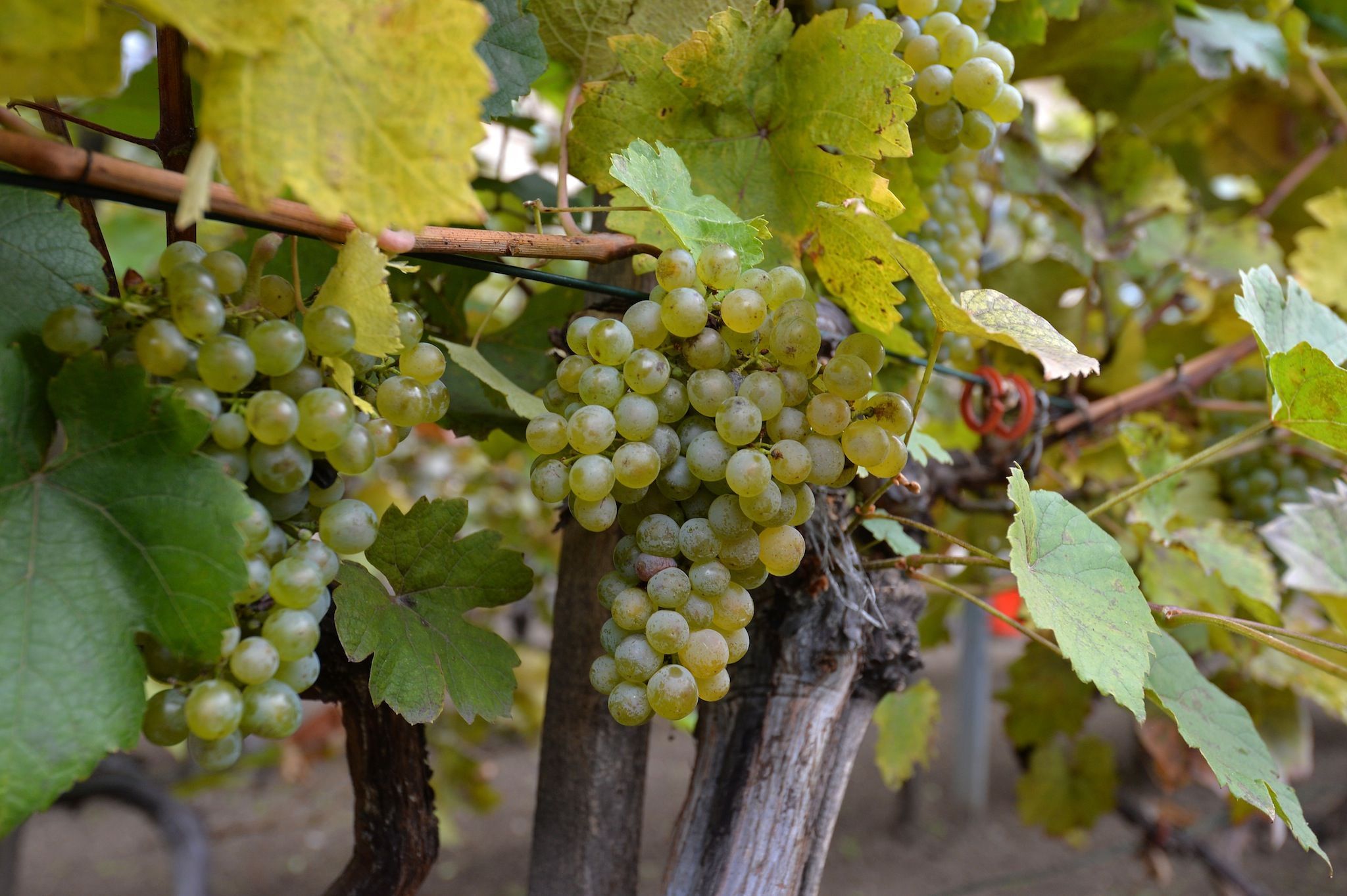 Foto Copyright_Christian Jobst PID Foto Copyright Christian Jobst PID 1